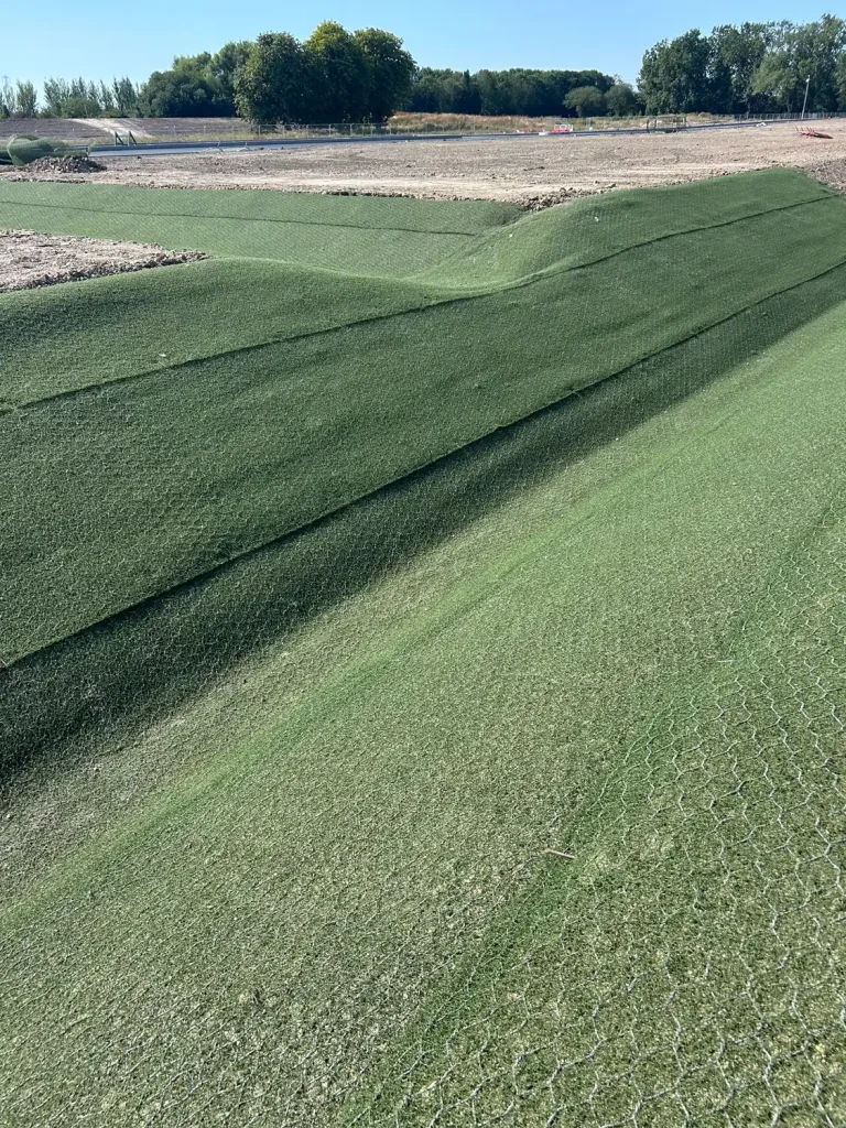 Kelston Sparkes - Project Image 2